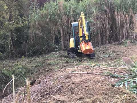 Lavorazioni agricole, forestali e giardinaggio