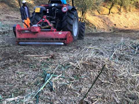 Lavorazioni agricole, forestali e giardinaggio